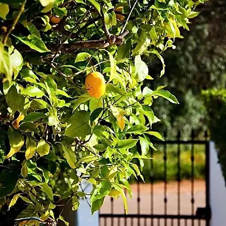 Casa Limao 4* Portimão